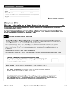 Chapter 13 Calculation of Disposable Income Form