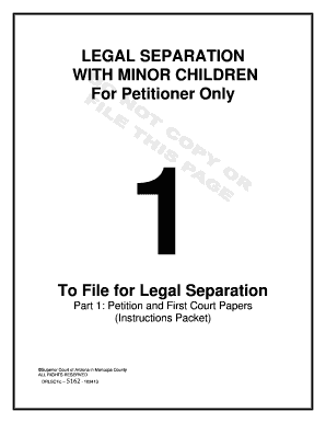Legal Separation with Minor Children