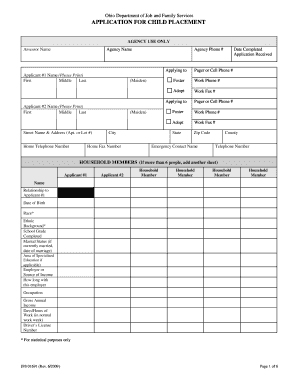 Ohio Child Placement Application