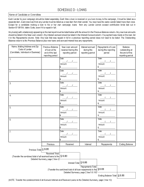 Schedule D - Loans
