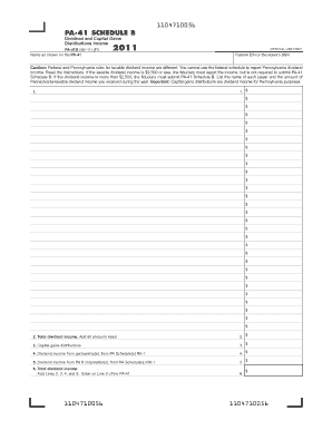 PA-41 Schedule B Dividend and Capital Gains