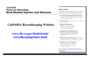 Cal/OSHA Work-Related Injuries and Illnesses Log