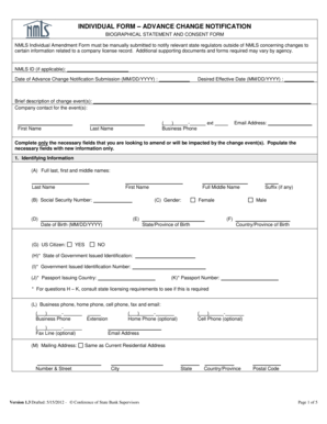 NMLS Individual Amendment Form