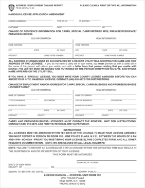 Handgun License Application Amendment
