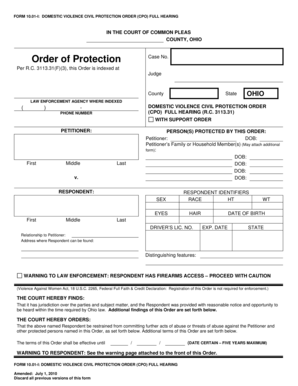Ohio Domestic Violence Civil Protection Order
