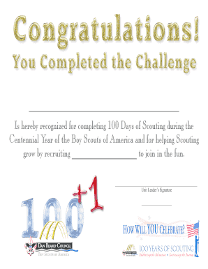 Boy Scouts of America 100 Days of Scouting Award