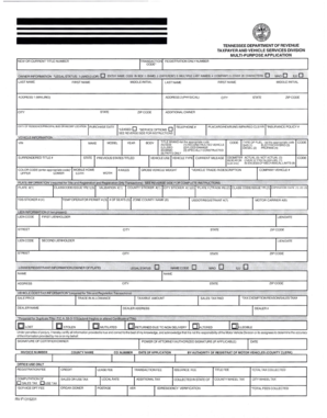 Tennessee Multi-Purpose Vehicle Registration Application