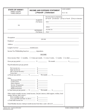 Hawaii Family Court Income and Expense Statement