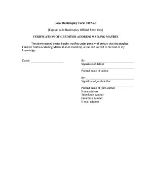 Bankruptcy Form 1007-2.1 Verification