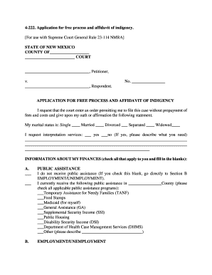 Application for Free Process and Affidavit of Indigency