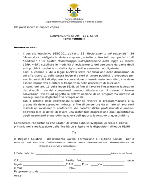 La Convenzione di programma Art.11 Legge 68/99