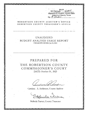 Treasurer/Auditor Reports - Robertson County, Texas