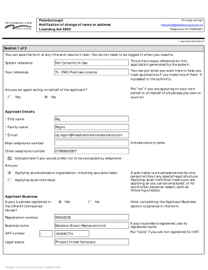 Form preview
