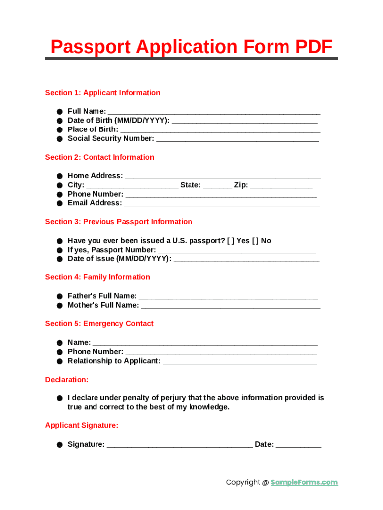 Passport Application PDF Doc Template PdfFiller