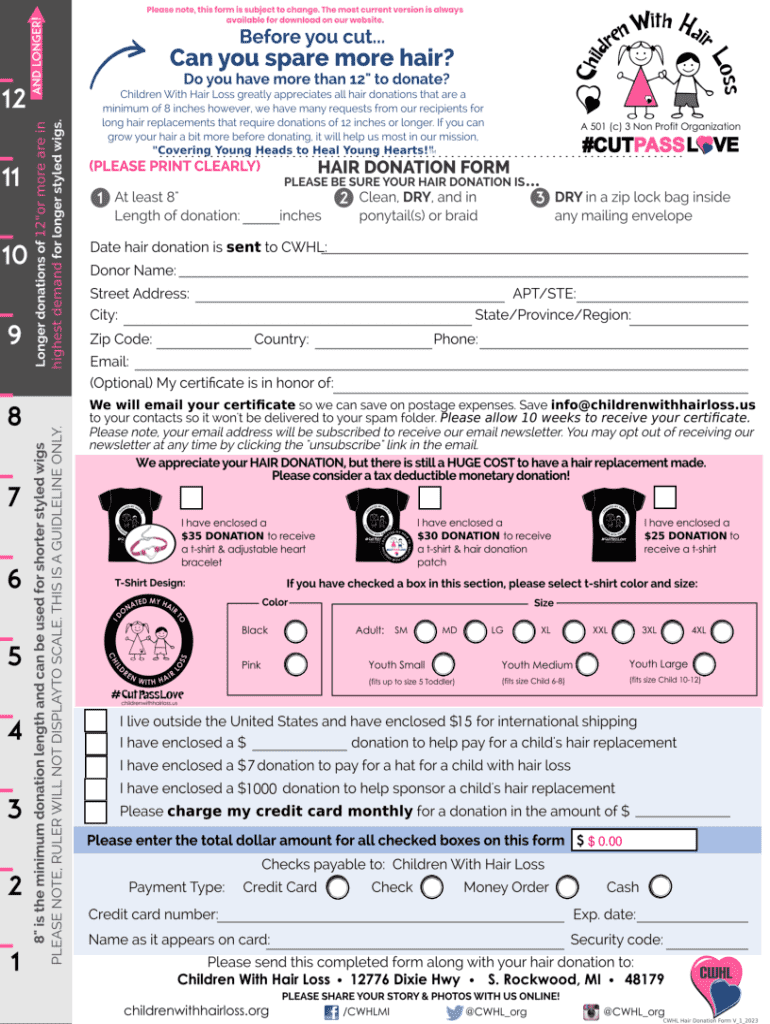 form online Preview on Page 1