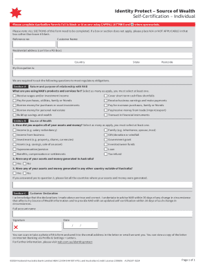 Fillable Online Source of Wealth Self-Certification Form Individual ...