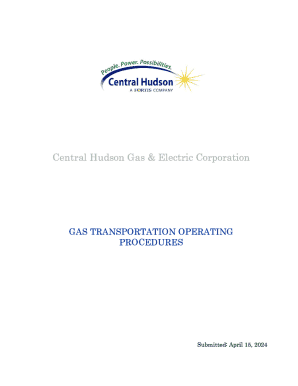 Fillable Online Central Hudson Gas &amp; Electric - System Details? (PL ...