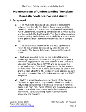 Domestic Violence Focused Audit Doc Template | pdfFiller