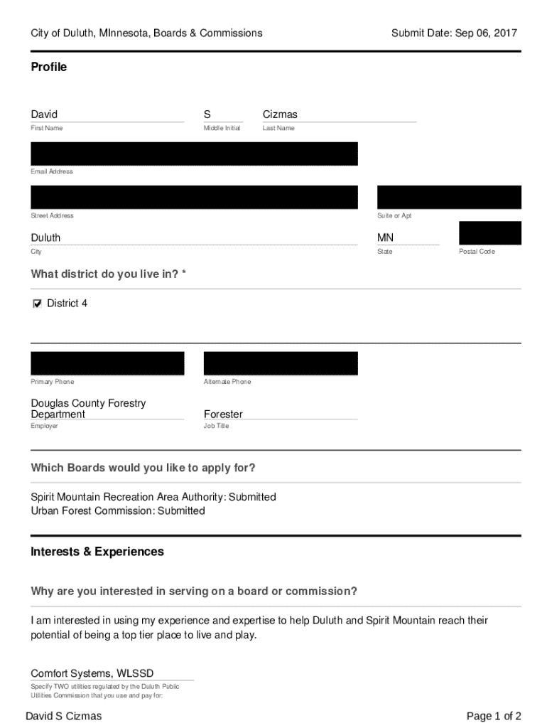 Form preview