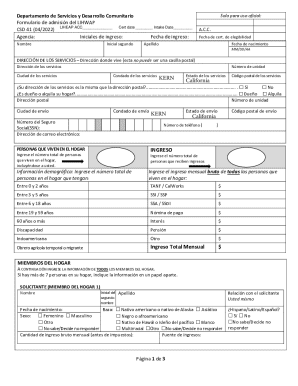 Final csd 41 lihwap intake form - english.pdf