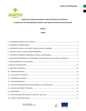 Modelo de cuadro resumen de caractersticas del contrato