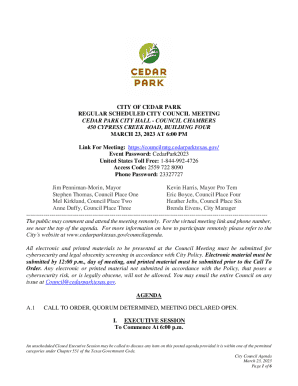 Eric Boyce, Council Place Four