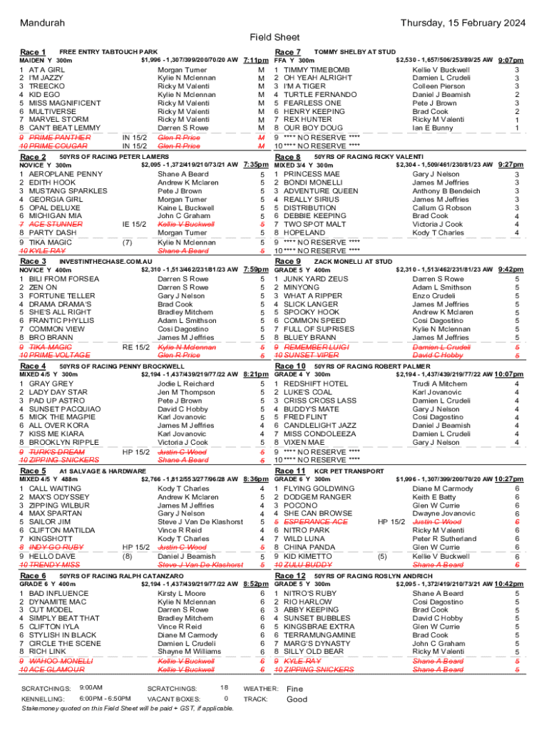 Form preview