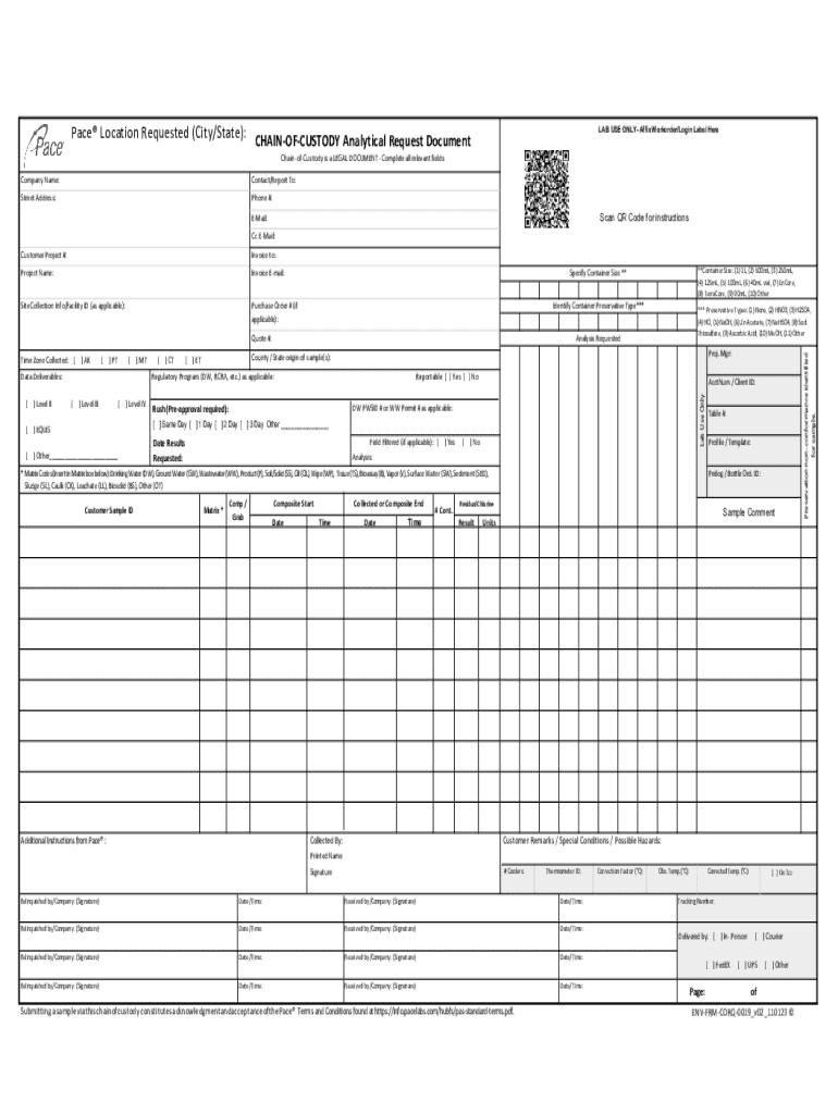 Formatted NEW Standardized COCv2a Preview on Page 1