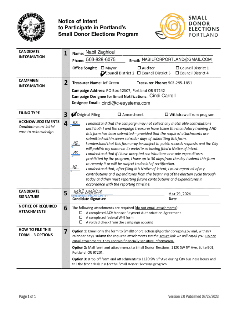 Form preview