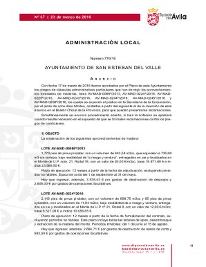 Con fecha 17 de marzo de 2016 fueron aprobados por el pleno de este ayuntamiento