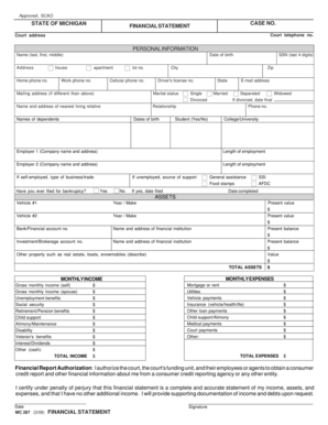 Michigan Financial Statement Form