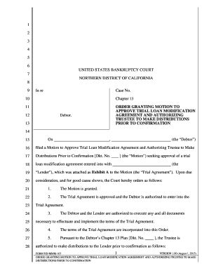 Order Granting Motion to Approve Trial Loan Modification