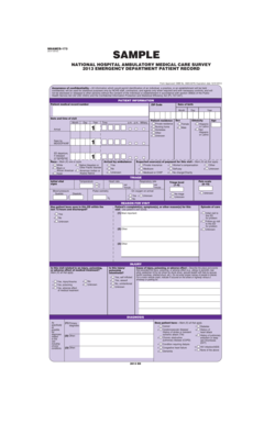 2013 Emergency Department Patient Record