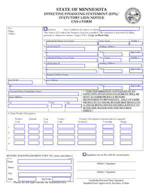 Minnesota Effective Financing Statement
