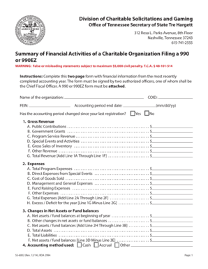 Tennessee Charitable Organization Financial Summary Form