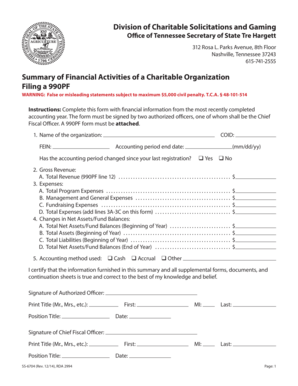 Tennessee Charitable Organization Financial Summary Form