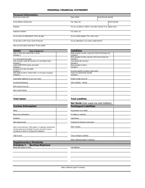 Personal Financial Statement Form