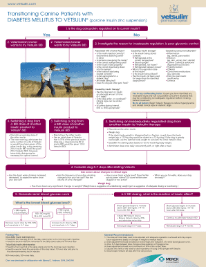 Vetsulin Transition Guide for Diabetic Dogs