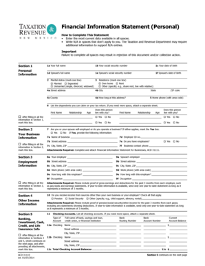 Financial Information Statement (Personal)