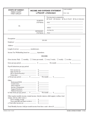 Hawaii Family Court Income and Expense Statement