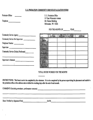 US Probation Community Service Evaluation Form
