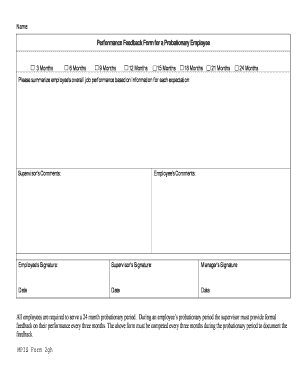 Performance Feedback Form for a Probationary Employee