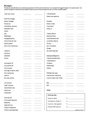 Budget Counseling Form