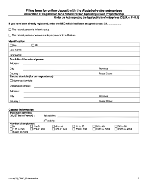 Formulaire de déclaration d'immatriculation pour une personne physique exploitant une entreprise individuelle