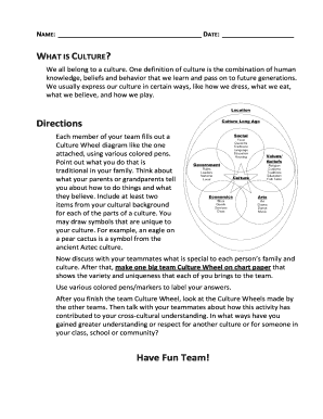 Culture Wheel Team Activity
