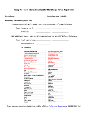 Form preview