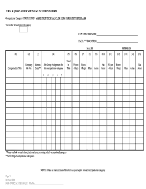 FORM A: JOB CLASSIFICATION AND INCUMBENTS ... - NYC.gov - nyc