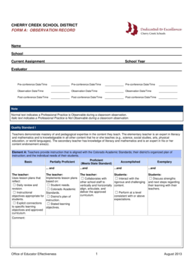 Teacher Observation Record Form