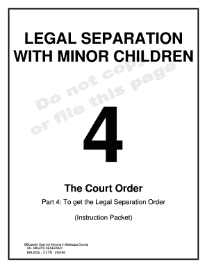 Legal Separation with Minor Children Decree
