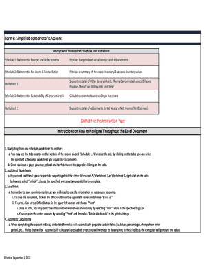 Form 9 Simplified Conservator's Account